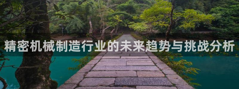 重生娱乐美日混血摩根