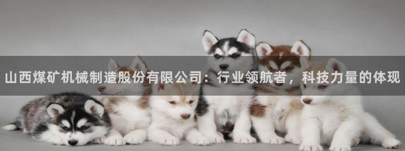 摩根大通收购娱乐公司