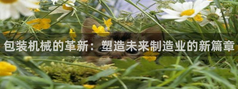 摩根娱乐宝如何提现