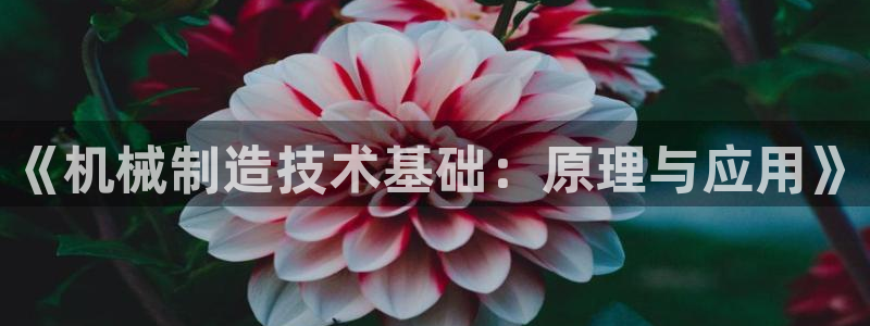 摩根娱乐宝微交易