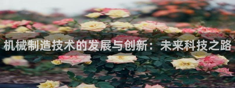 摩根娱乐宝的真假