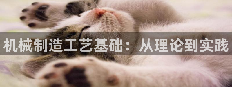 泉州摩根会娱乐场所