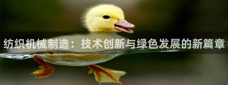 主角是摩根家族的娱乐文