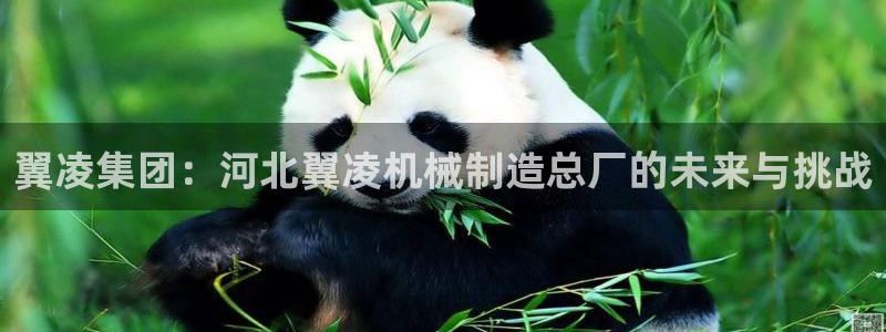 微信里面摩根娱乐宝