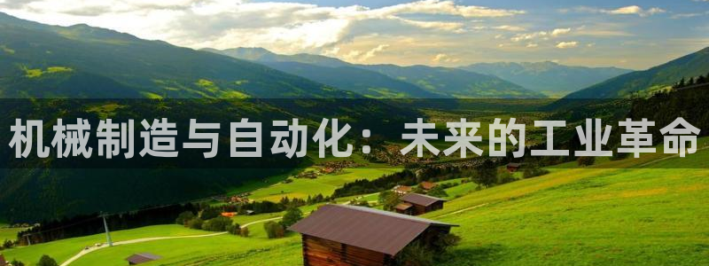 摩根娱乐挂机项目是什么