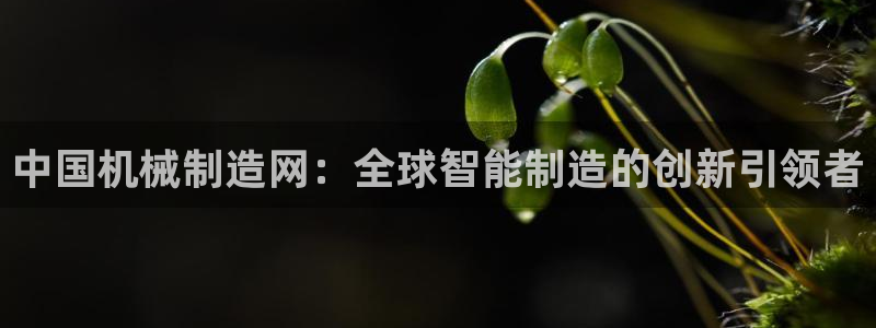 玩摩根娱乐宝亏了三千