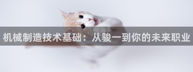 摩根娱乐¤股s东50015