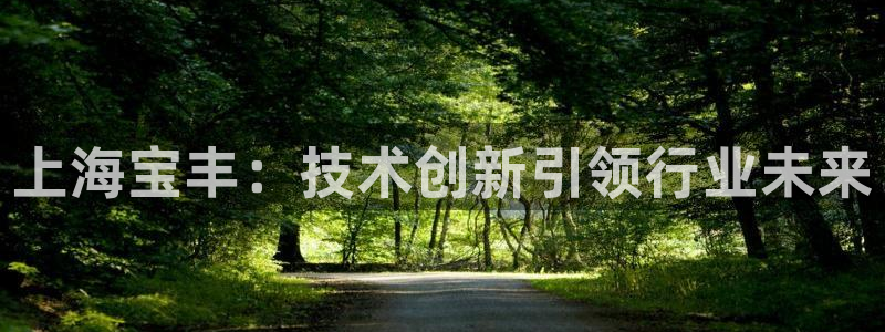 摩根娱乐宝打不开