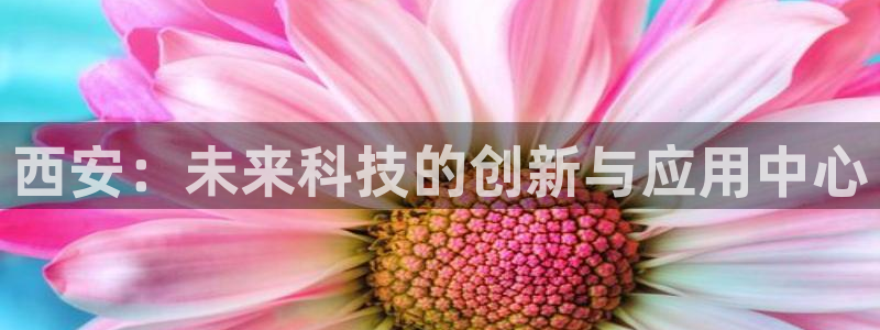 摩根国际娱乐会所电话