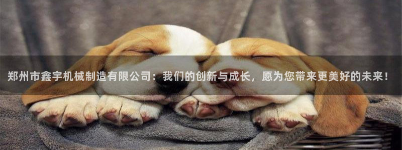 娱乐解说摩根