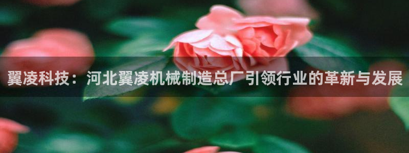 武汉摩根众睿娱乐