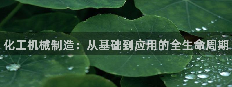 娱乐解说摩根王者荣耀