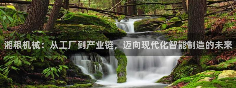 摩根娱乐宝是骗局吗