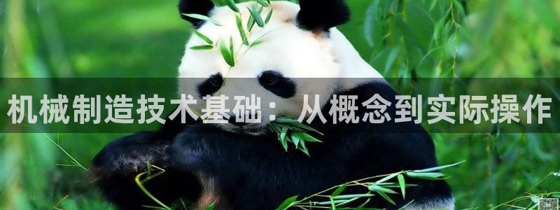 白宫摩根娱乐场所