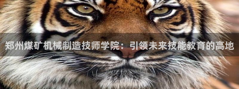 摩根娱乐开户总s管50015 18