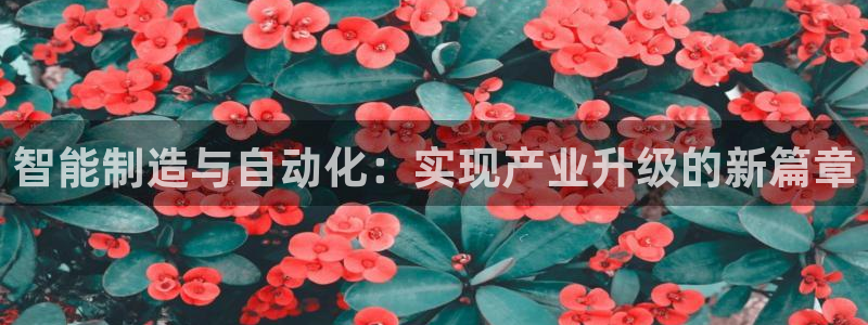 摩根娱乐是真的呀