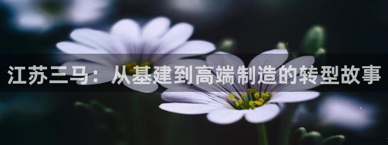 摩根360娱乐