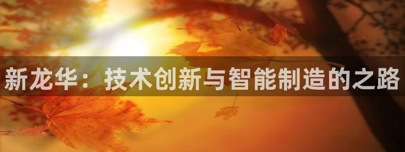 摩根国际娱乐宝书籍
