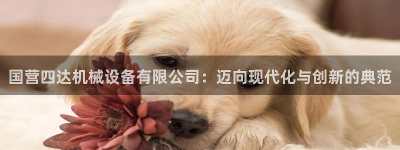 义乌摩根娱乐阿峰