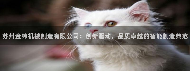 摩根娱乐平台黑